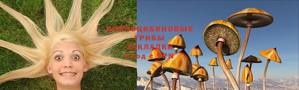 дурь Володарск