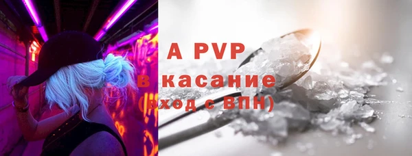 сатива Волосово