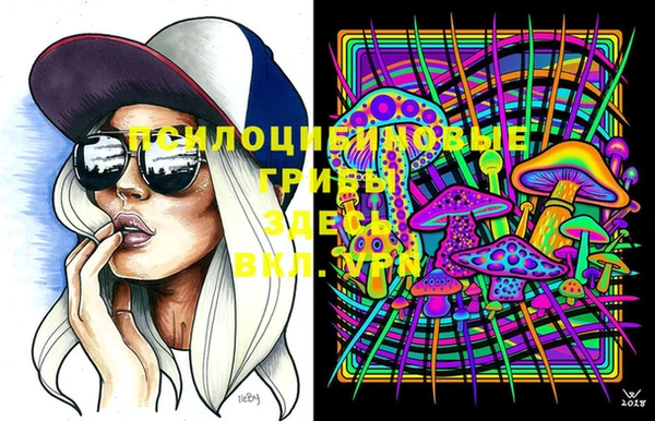 сатива Волосово