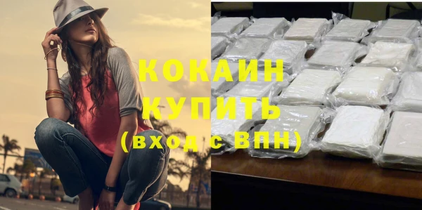 сатива Волосово