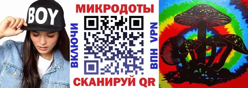 дарнет шоп  Каспийск  Псилоцибиновые грибы Psilocybe 